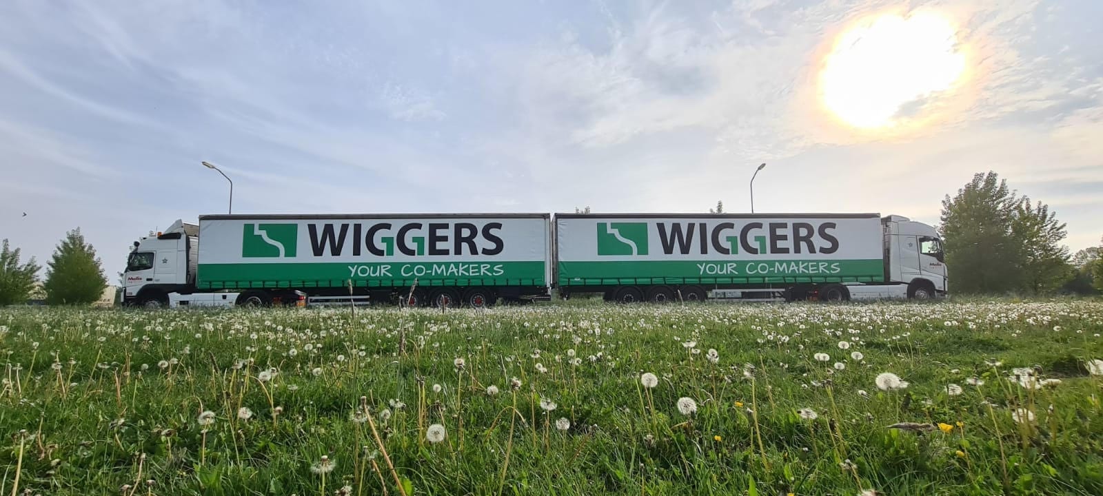 Melis breidt stellingen uit voor Wiggers